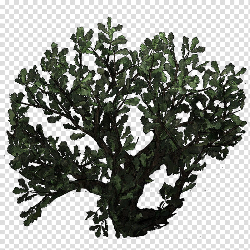 Prop The Walking Dead Season  XPS, green plant transparent background PNG clipart