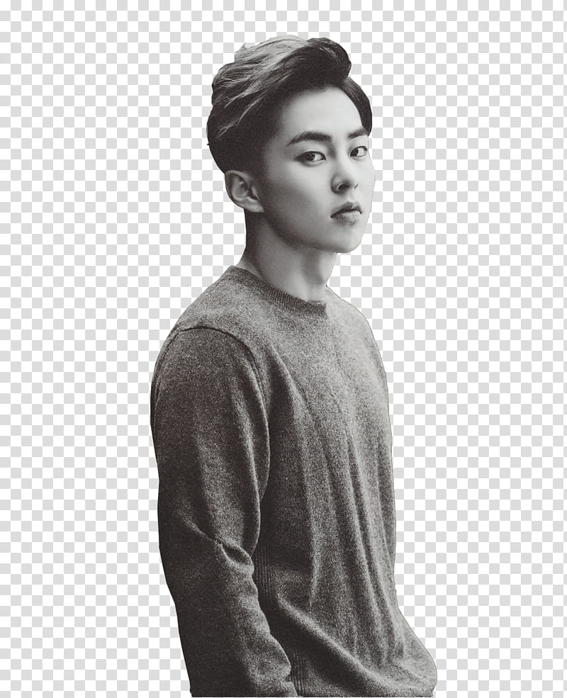 EXO, man wearing sweater in grayscale transparent background PNG clipart