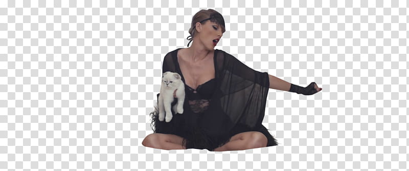 Taylor Swift  Blank Space, Taylor Swift sitting whiled holding white cat transparent background PNG clipart