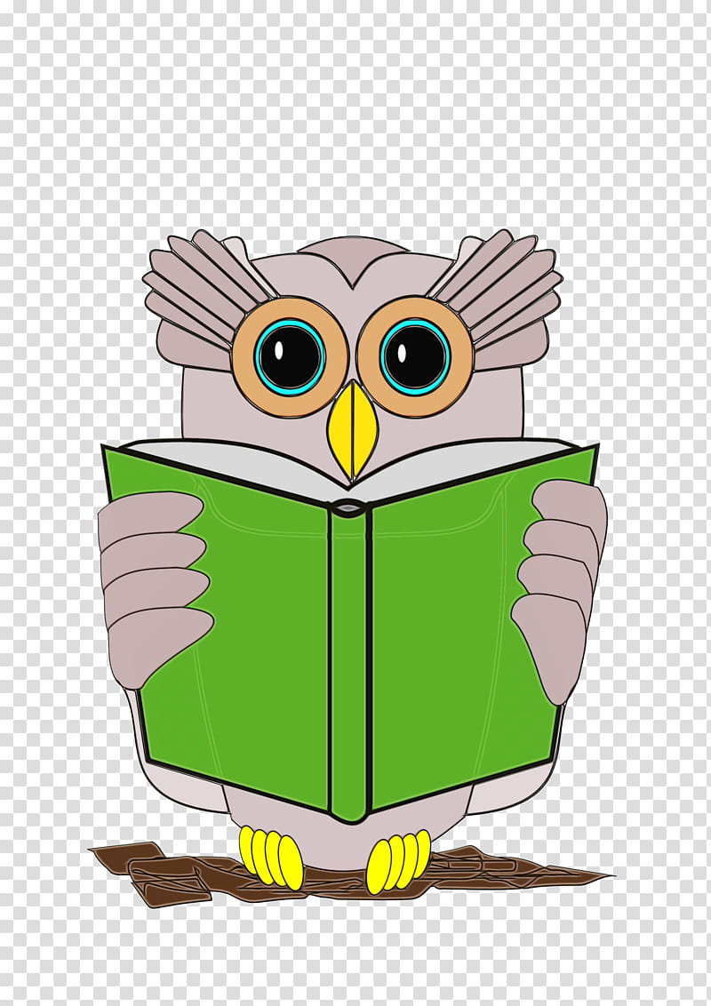 Owl Book Transparency Review Reading, Watercolor, Paint, Wet Ink, Writing, Cartoon, Bird Of Prey, Green transparent background PNG clipart