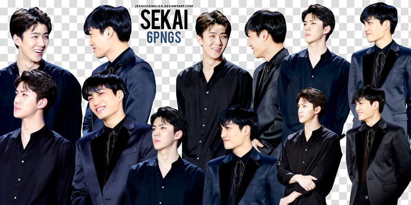 EXO Sekai  Golden Disk Awards transparent background PNG clipart