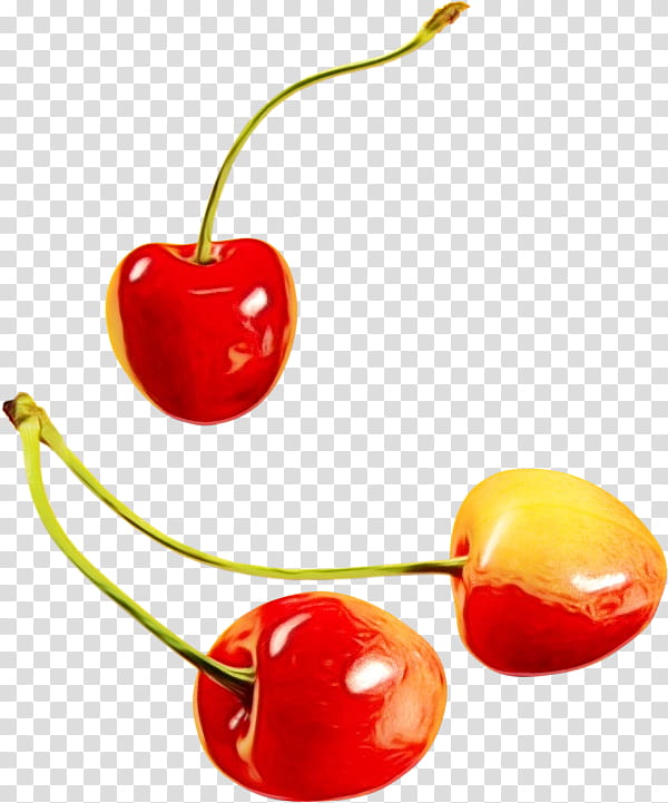 Fruit, Cherries, Sweet Cherry, Cerasus, Sour Cherry, Food, Maraschino Cherry, Red transparent background PNG clipart