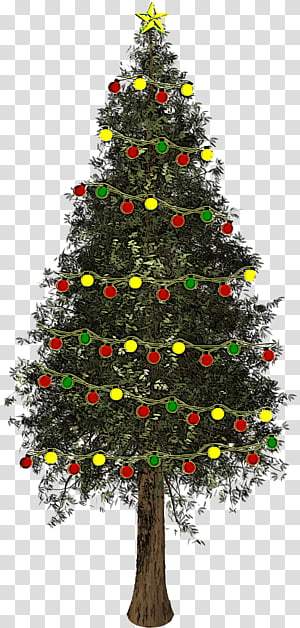 Christmas tree, Christmas Decoration, Colorado Spruce, Oregon Pine, Christmas Ornament, Holiday Ornament, White Pine, Christmas 
 transparent background PNG clipart thumbnail