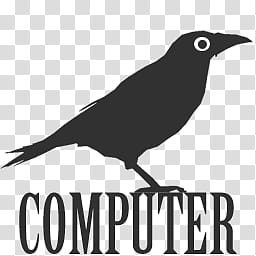 MysticCrow dock icons, COMPUTER, black crow with computer text illustration transparent background PNG clipart