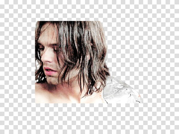 Bucky transparent background PNG clipart