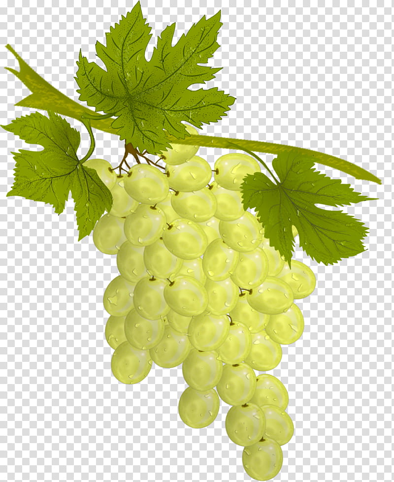 White Grape, green grapes illustration transparent background PNG clipart