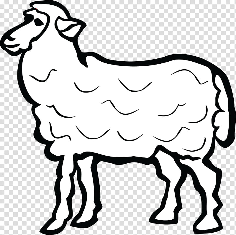 white sheep sheep line art live, Live, Cowgoat Family, Coloring Book transparent background PNG clipart