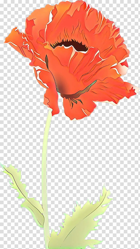 Orange, Cartoon, Flower, Oriental Poppy, Plant, Cut Flowers, Coquelicot, Petal transparent background PNG clipart