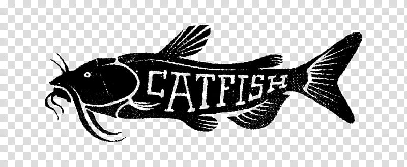 Logo, Fish, Black White M, Catfish, Carp transparent background PNG clipart