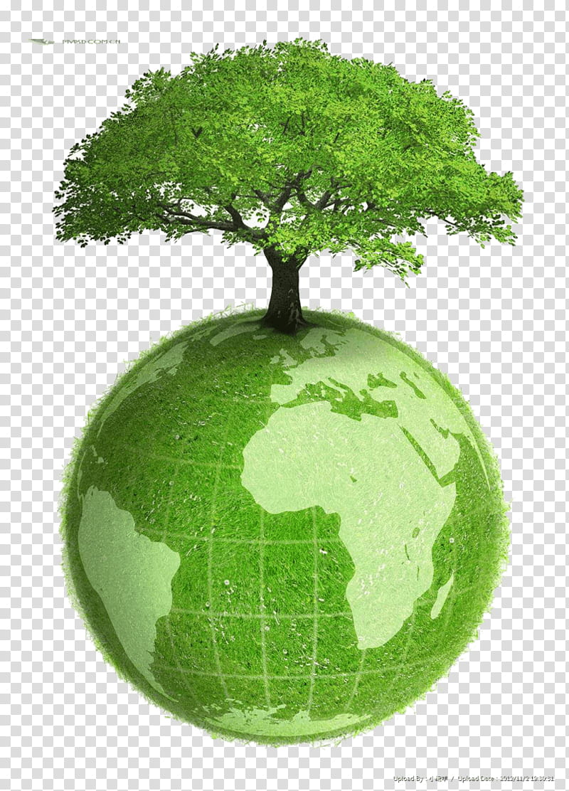 Green Grass, Earth, Natural Environment, Planet, Sustainability, Environmentally Friendly, World, Green Economy transparent background PNG clipart