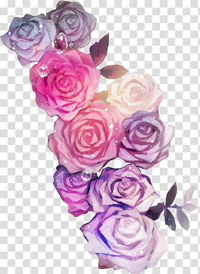 Rose Garden, pink and purple flowers illustration transparent background PNG clipart