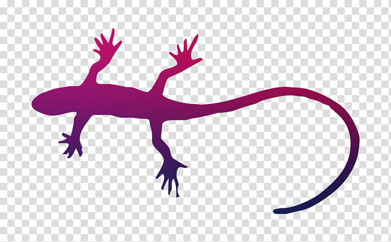 Gecko Lizard, Reptile, Scaled Reptile, Wall Lizard, Tail, Silhouette transparent background PNG clipart