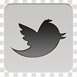 Quadrates Extended, Twitter logo icon transparent background PNG clipart