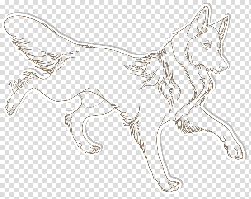 Lineart Free or Points, wolf illustration transparent background PNG clipart