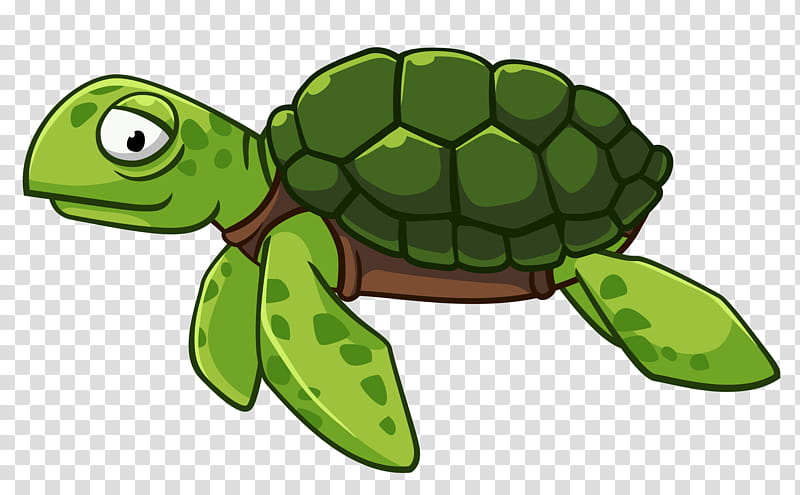 sea turtle cartoon drawing