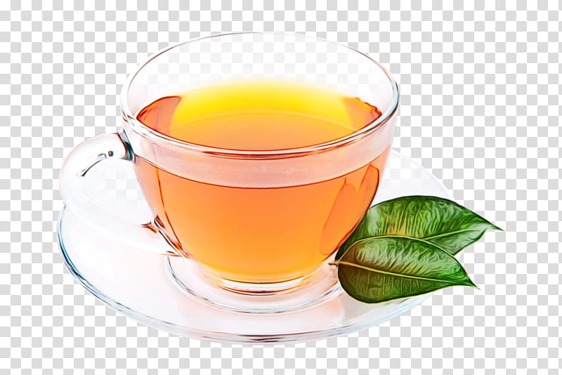 Green Tea, Dianhong, Mate Cocido, Oolong, Earl Grey Tea, Assam Tea, Wassail, Hot Toddy transparent background PNG clipart