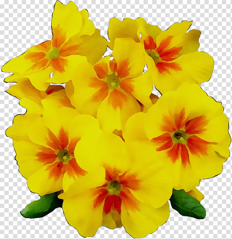 Flower Painting, Drawing, Arianators, Blog, Yellow, Petal, Plant, Primrose transparent background PNG clipart
