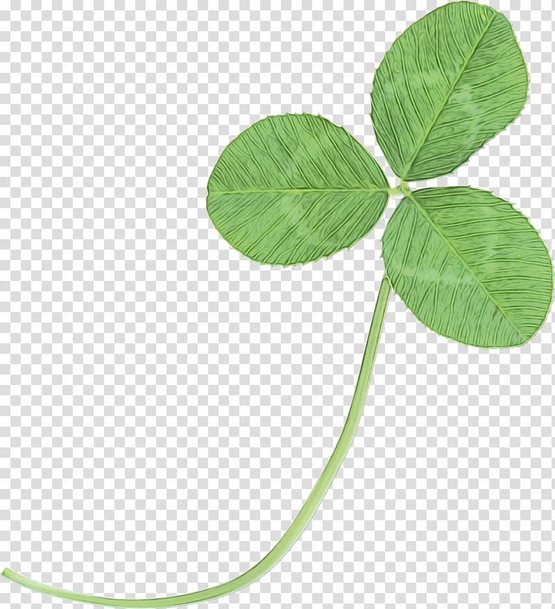 leaf green plant flower dutch clover, Watercolor, Paint, Wet Ink, Symbol, Flowering Plant, Plant Stem transparent background PNG clipart