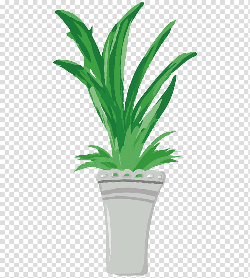 Cartoon Palm Tree, Palm Trees, Flowerpot, Plants, Leaf, Plant Stem, Bud, Houseplant transparent background PNG clipart