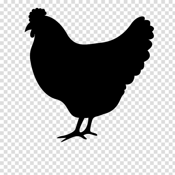 Fried Chicken Food Fried Egg Frying Silhouette Bird White Rooster Transparent Background Png Clipart Hiclipart