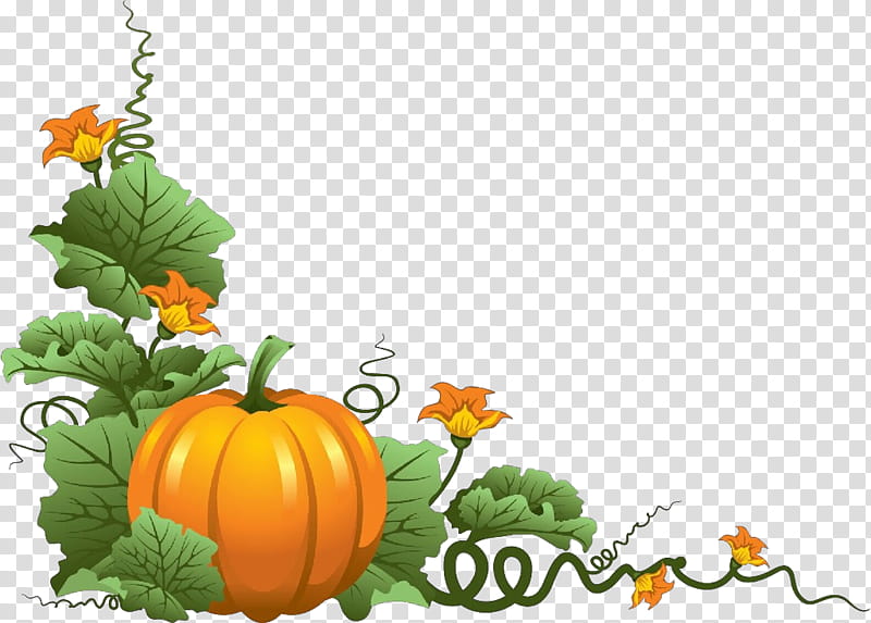 Pumpkin, Cartoon, Calabaza, Natural Foods, Leaf, Vegetable, Cucurbita, Plant  transparent background PNG clipart | HiClipart