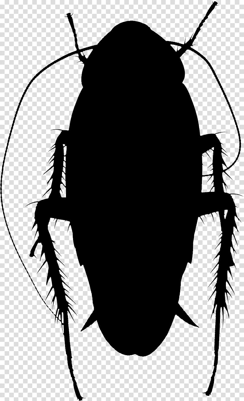 Cockroach, Silhouette, Insect, Membrane, Pest, Ground Beetle, Blister Beetles, Oriental Cockroach transparent background PNG clipart