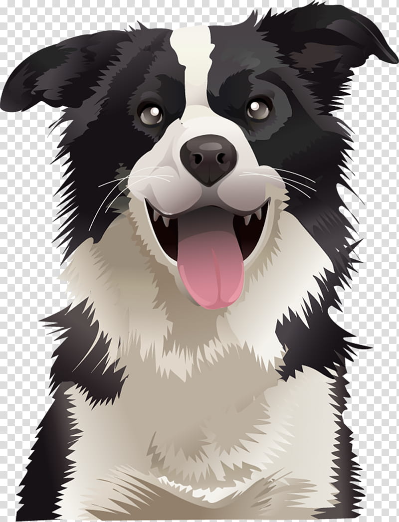 Cartoon Border, Border Collie, Australian Shepherd, German Shepherd