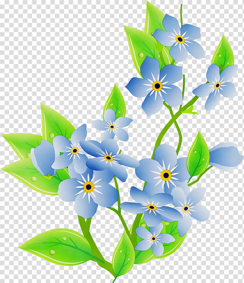 flower plant petal forget-me-not ixia, Watercolor, Paint, Wet Ink, Forgetmenot, Wildflower, Borage Family transparent background PNG clipart