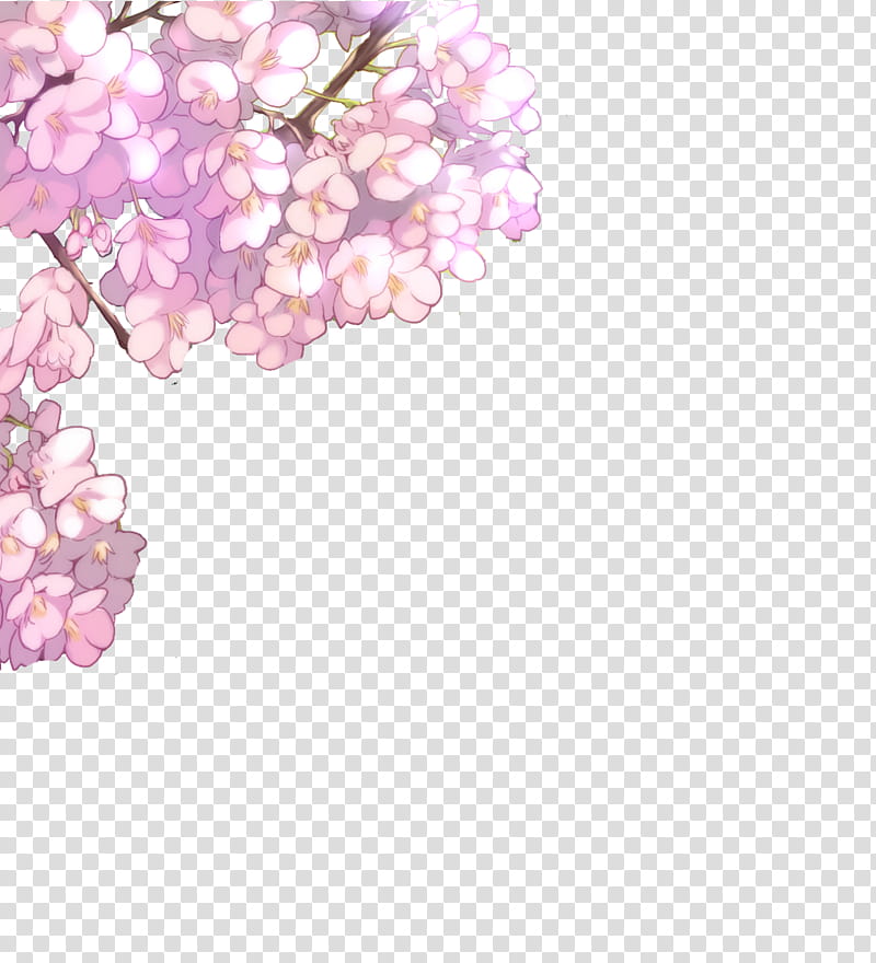 Cherry Blossom, Love, Sticker, Wattpad, Sadness, Film, Dia, Happiness transparent background PNG clipart