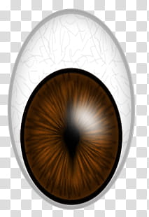 animals eyes, human eye illustration transparent background PNG clipart