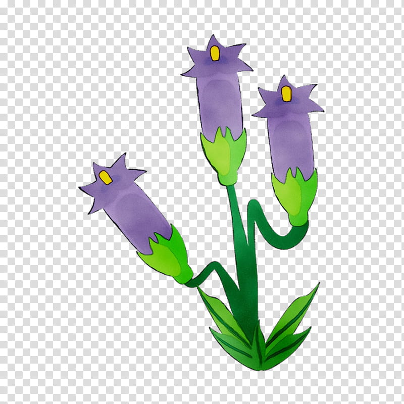 Purple Flower, Plant Stem, Plants, Violet, Iris, Bellflower, Crocus, Bellflower Family transparent background PNG clipart
