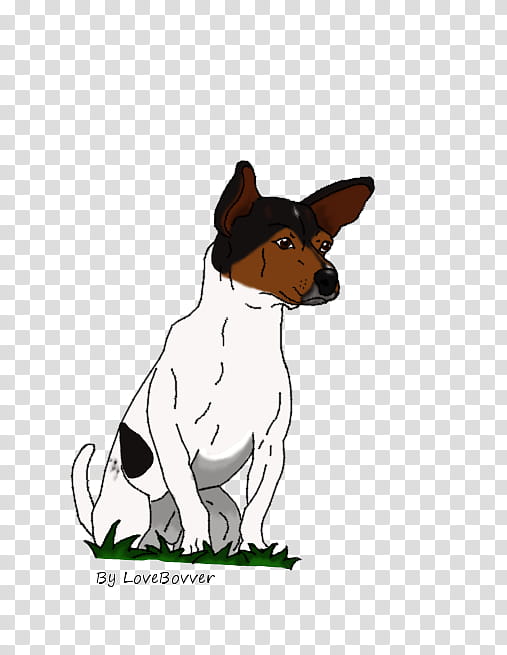 Our Jack Russel Frodo transparent background PNG clipart