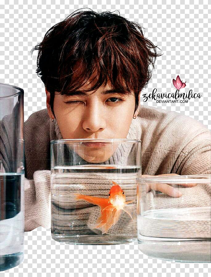 GOT Jackson Men Uno, orange goldfish in clear glass container in front of man's face transparent background PNG clipart