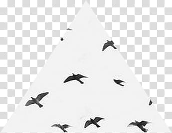 black birds under white sky transparent background PNG clipart