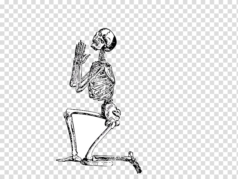Human Skull Drawing, Skeleton, Cartoon, Human Skeleton, Line Art, Bone, Clothing, Footwear transparent background PNG clipart