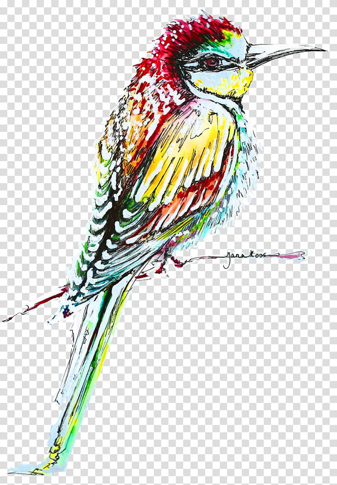 Bird Line Drawing, Beak, Feather, Point, Wildlife transparent background PNG clipart