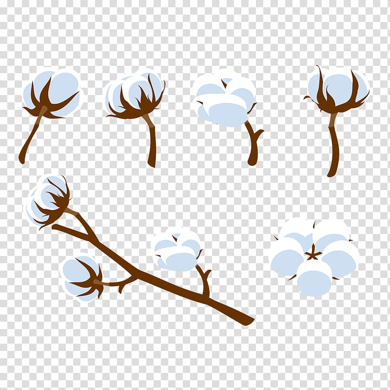 Flower White, Cotton, Petal, Textile, Color, Branch, Line, Twig transparent background PNG clipart