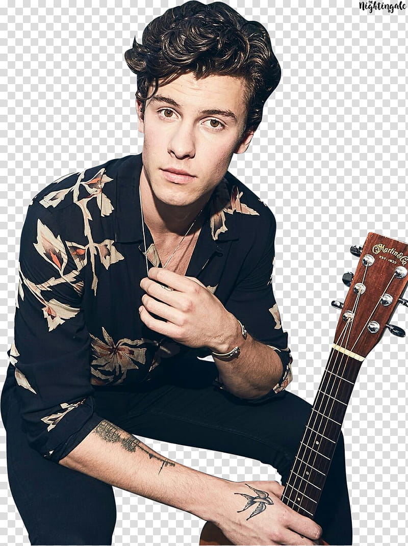 Shawn Mendes ,,SAM () transparent background PNG clipart