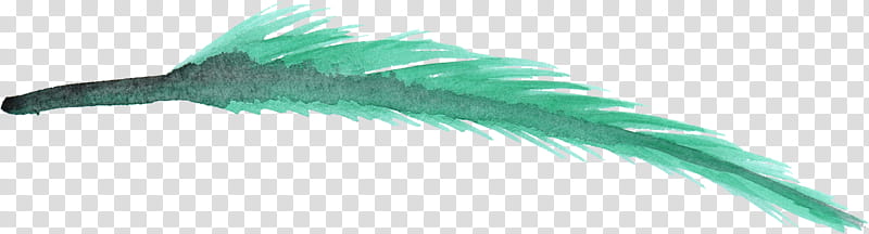 Watercolor, Watercolor Painting, Feather, Feather, Silhouette, Green, Turquoise, Quill transparent background PNG clipart