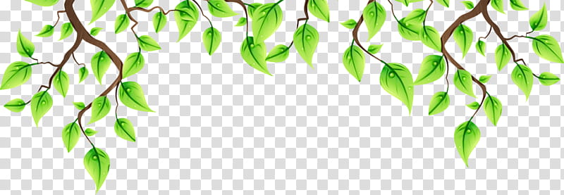 Green Leaf, Leaflet, Bichon Havanese, Blog, Plants, Tree, Branch, Plant Stem transparent background PNG clipart