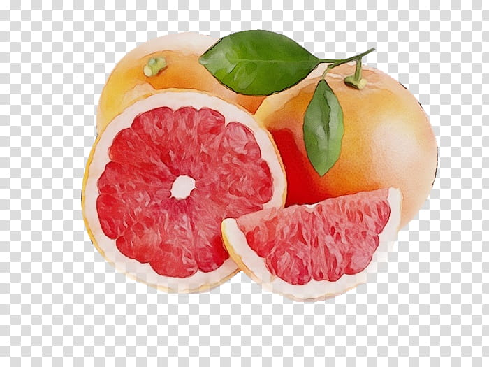 Watercolor Natural, Paint, Wet Ink, Grapefruit, Grapefruit Juice, Food, Vegetarian Cuisine, Tangelo transparent background PNG clipart