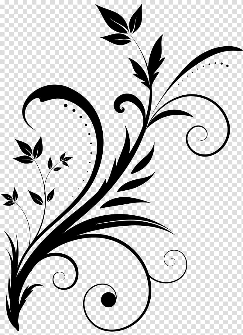 Floral Ornament, Swirl, Drawing, Leaf, Blackandwhite, Plant, Pedicel, Floral Design transparent background PNG clipart
