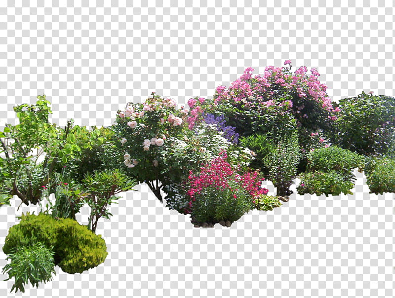 Flowered garden , assorted-color petaled flowers transparent background PNG clipart