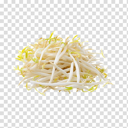 Vegetable, Alfalfa Sprouts, Soybean Sprout, Namul, Sprouting, Shoot, Soia, Fruit transparent background PNG clipart