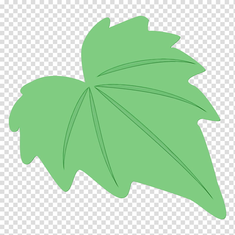 Maple leaf, Watercolor, Paint, Wet Ink, Green, Tree, Plant, Ivy transparent background PNG clipart