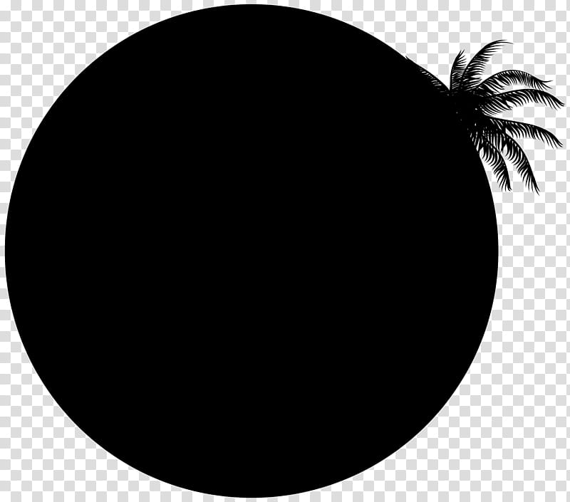 Palm Tree Silhouette, Smartphone, Popsockets, Popsockets Grip Stand, Samsung Galaxy Note 9, Iphone Xr, Apple, Washington Dc transparent background PNG clipart