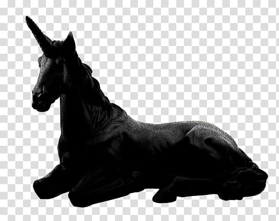 black unicorn transparent background PNG clipart
