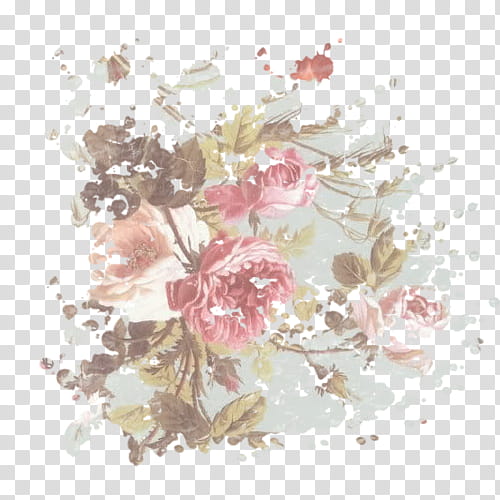 Splatter Pattern S, pink English rose flowers art transparent background PNG clipart