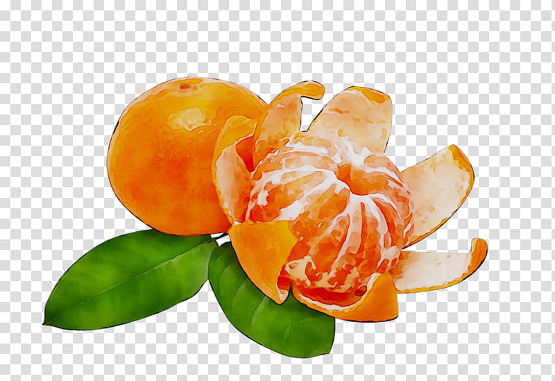 Orange Flower, Mandarin Orange, Tangerine, Grapefruit, Tangelo, Bitter Orange, Rangpur, Vegetable transparent background PNG clipart