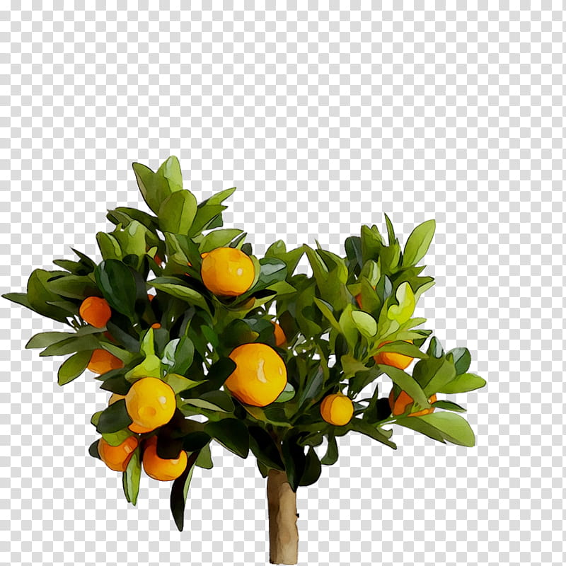 Artificial Flower, Bitter Orange, Flowerpot, Ikea, Calamondin, Kitchen, Cachepot, Tree transparent background PNG clipart